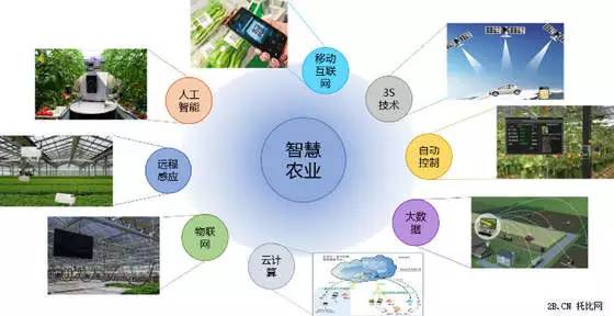 互联网+农业，预示中国农业电商的春天来了？